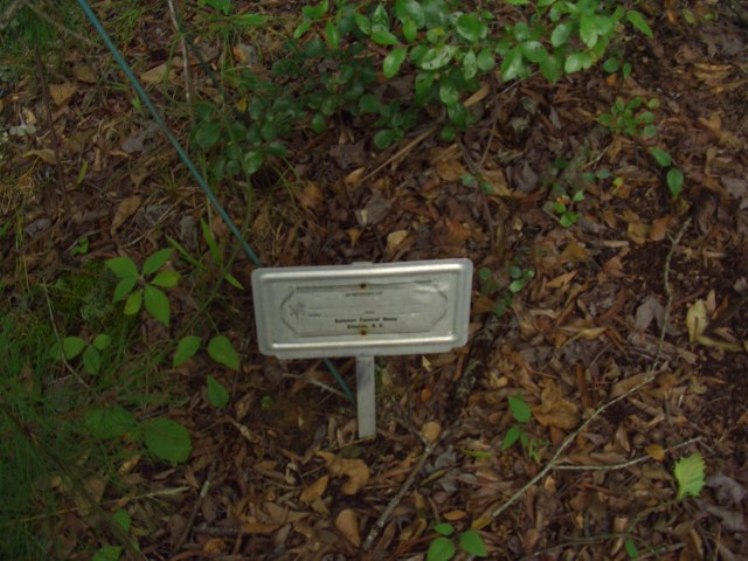 headstone